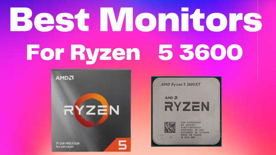 The Best Monitor For Ryzen 5 3600